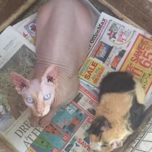 Meet your Posher, Julie